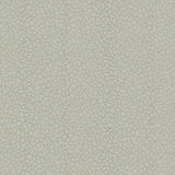 Kew (wp) - # 04- Maxwell Wallpaper By The 11 Yard Roll
