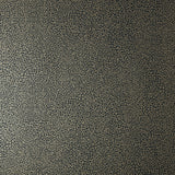 Emile (wp) - # 06 jet- Maxwell Wallpaper By The 11 Yard Roll