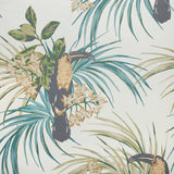Le toucan (wp) - # 03 emerald- Maxwell Wallpaper By The 11 Yard Roll