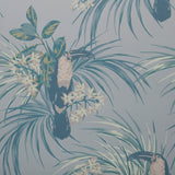 Le toucan (wp) - # 01 pale blue- Maxwell Wallpaper By The 11 Yard Roll