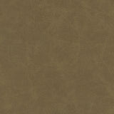 Warden-nj - # 997 quicksand- Maxwell Fabric By The Yard