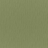 Chico - # 831 aloe- Maxwell Fabric By The Yard