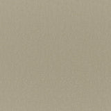 Cadenza - # 736 seagrass- Maxwell Fabric By The Yard