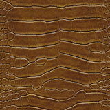 Hogan-nj - # 543 shell- Maxwell Fabric By The Yard