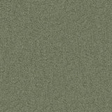 Texel - # 1015 sage- Maxwell Fabric By The Yard