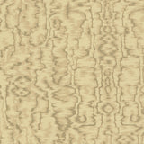 Avington (wp) - # 03- Maxwell Wallpaper By The 11 Yard Roll
