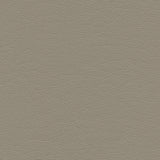 Highborn-nj - # 403 cliff- Maxwell Fabric By The Yard