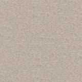 Castor - # 925 sponge- Maxwell Fabric By The Yard