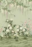 Wisteria bloom (wp) - # 03 pistachio- Maxwell Wallpaper By The 13.7 Yard Roll