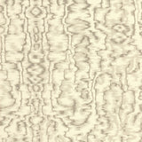 Avington (wp) - # 01- Maxwell Wallpaper By The 11 Yard Roll