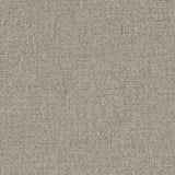 Slogan - # 934 pepper- Maxwell Fabric By The Yard