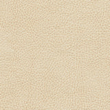 Fairbanks-nj - # 419 pulp- Maxwell Fabric By The Yard