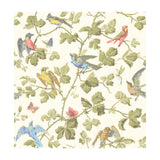 COLE & SON - WINTER BIRDS- MULTI-COLOURED - Wallcovering by the Roll