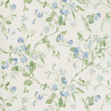 COLE & SON - SWEET PEA- BLUE - Wallcovering by the Roll