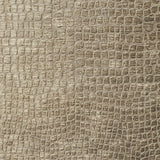 Charlotte - 10151-15 - Fabric by the Yard