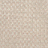 Charlotte - 10530-01 - Fabric by the Yard