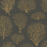 COLE & SON - SEAFERN- BLACK & GOLD - Wallcovering by the Roll