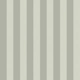 COLE & SON - REGATTA STRIPE- OLIVE - Wallcovering by the Roll