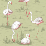 COLE & SON - FLAMINGOS- OLIVE - Wallcovering by the Roll