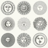 COLE & SON - SOLI- BLACK & WHITE - Wallcovering by the Roll