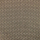 Ice Crystals - Hazelnut - RM Coco - Fabric by the Yard