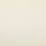Preakness - Crypton® - Snow - RM Coco - Fabric by the Yard