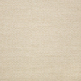 Action - Sunbrella® - Linen 44285-0000 - RM Coco - Fabric by the Yard