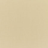 Canvas - Sunbrella® - Antique Beige 5422-0000 - RM Coco - Fabric by the Yard