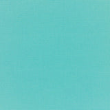 Canvas - Sunbrella® - Aruba 5416-0000 - RM Coco - Fabric by the Yard