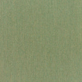 Canvas - Sunbrella® - Fern 5487-0000 - RM Coco - Fabric by the Yard