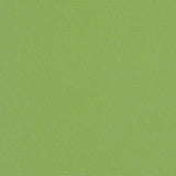 Canvas - Sunbrella® - Ginkgo 54011-0000 - RM Coco - Fabric by the Yard