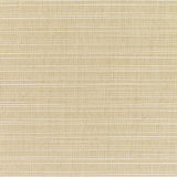 Dupione - Sunbrella® - Sand 8011-0000 - RM Coco - Fabric by the Yard