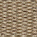 Mainstreet - Sunbrella - Latte 42048-0009 - RM Coco - Fabric by the Yard