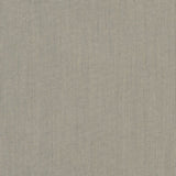Spectrum - Sunbrella® - Dove 48032-0000 - RM Coco - Fabric by the Yard