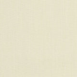 Spectrum - Sunbrella® - Eggshell 48018-0000 - RM Coco - Fabric by the Yard