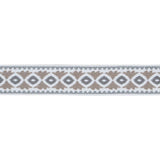 BD102 BORDER 2" - STERLING - RM Coco - Trim by the Yard