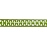 BD100 BORDER 2 3/8" - CITRUS - RM Coco - Trim by the Yard