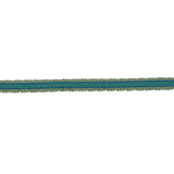 BD106 BORDER .75" - CITRUS - RM Coco - Trim by the Yard
