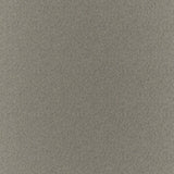 Clubhouse - Charcoal - RM Coco - Fabric by the Yard
