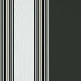 Ming Stripe - Charcoal - RM Coco - Fabric by the Yard