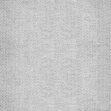 Ethereal Wide-Width Casement - Silver Threads - RM Coco - Fabric by the Yard