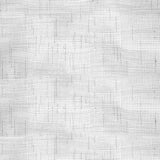 La Palma Check Wide-Width Sheer - Platinum - RM Coco - Fabric by the Yard