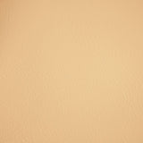 Fortitude Performance Vinyl - Alabaster - RM Coco - Fabric by the Yard