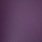 Fortitude Performance Vinyl - Concord - RM Coco - Fabric by the Yard