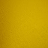 Fortitude Performance Vinyl - Pistachio - RM Coco - Fabric by the Yard