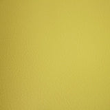 Fortitude Performance Vinyl - Sage - RM Coco - Fabric by the Yard