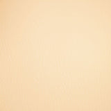 Fortitude Performance Vinyl - Vanilla Latte - RM Coco - Fabric by the Yard