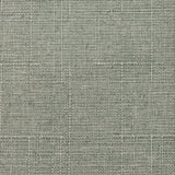 Monte Carlo - Glacier - RM Coco - Fabric by the Yard