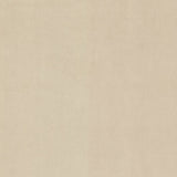 Marquee FR Velvet - Sandstone - RM Coco - Fabric by the Yard