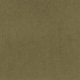 Marquee FR Velvet - Wasabi - RM Coco - Fabric by the Yard
